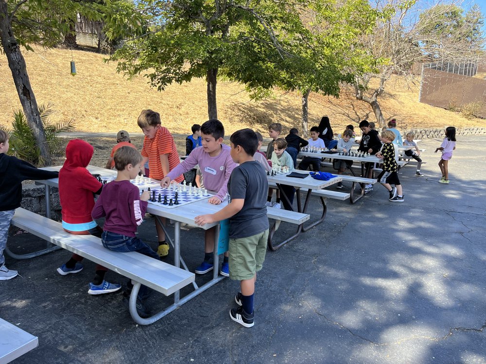 Bay Area Chess branch office Logo