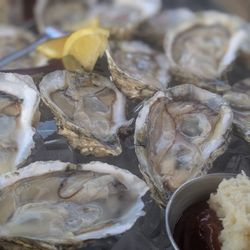 South Ridge Seafood Grill - Oysters