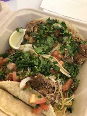 Urban Tortilla by null