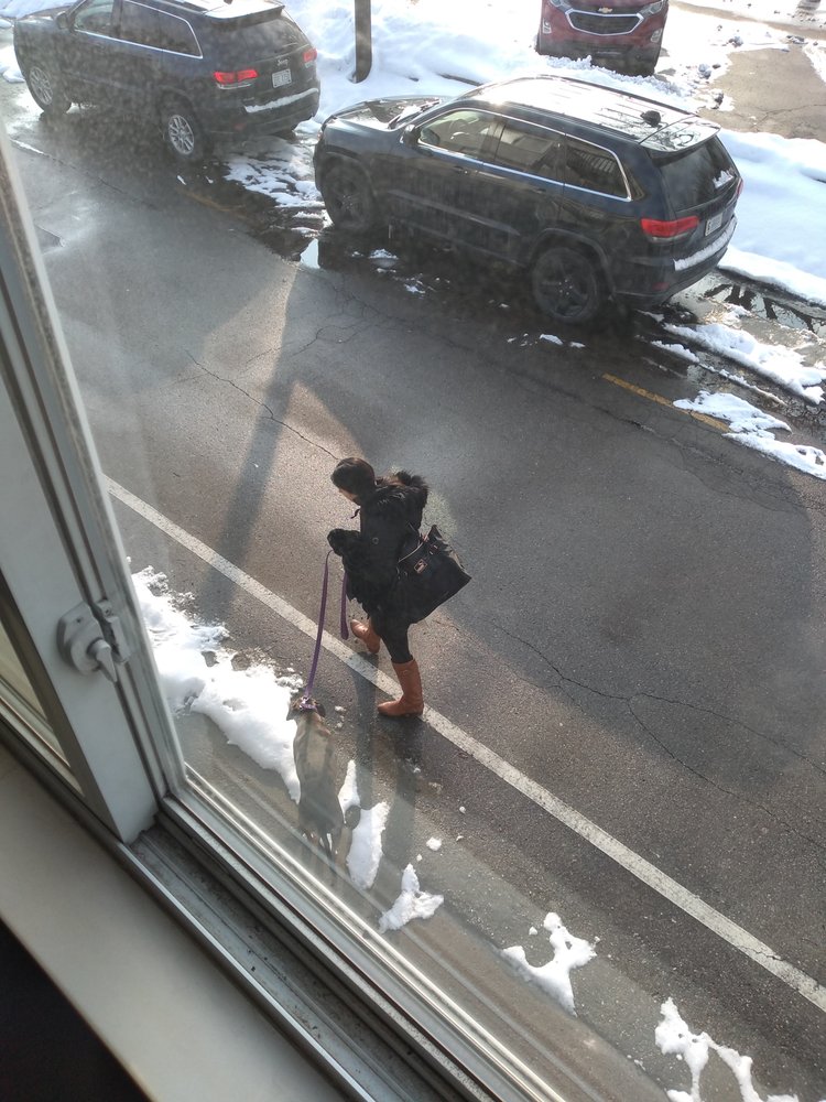 AMBER APARTMENTS 21 Photos & 18 Reviews 3807 Crooks Rd, Royal Oak