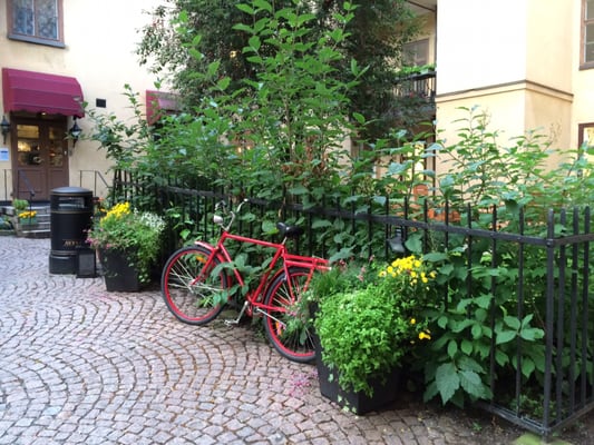 NOFO Wine Bar by null