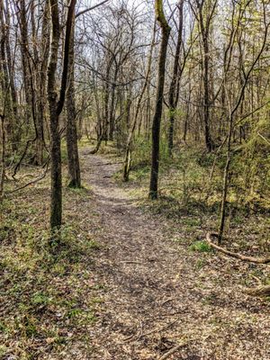 Big Rock Nature Preserve by null