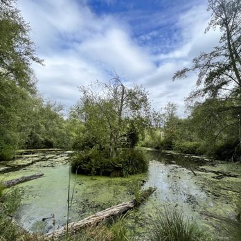 Bloedel Reserve - Marsh IG: @ohmyono - Parks Near Me - Bainbridge Island, Washington Bloedel Reserve - Marsh IG: @ohmyono - Parks Near Me - Bainbridge Island, Washington