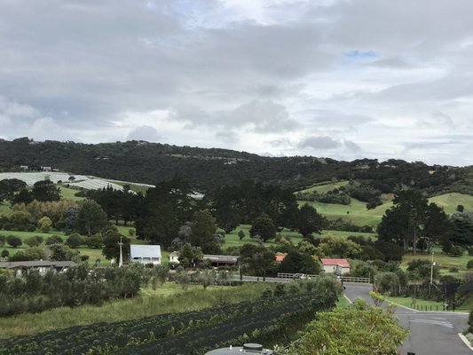 Tantalus Estate by null