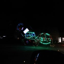 The Wonderland Of Lights - Sad turtle
