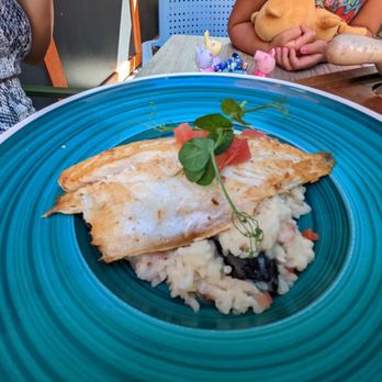 Quinlan's Seafood Bar - Pan seared sea bass - Fish & Chips Near Me - Cork, Colorado