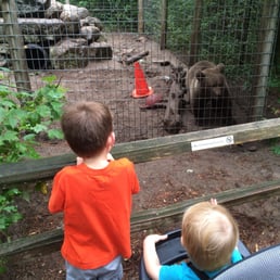 Super close to the animals! Super close to the animals!