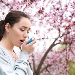 Allergy & Asthma Specialists Of Memphis
