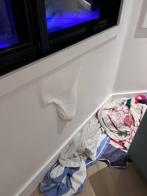 Windows N' Things by null