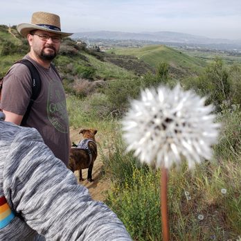 Crafton Hills Ridge Trail - Dandelions on steroids! - Hiking Near Me - Yucaipa, California