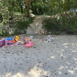 Hidden Oaks Campground - On the beach under a tree.