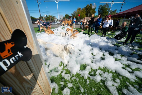 houston bark park maxie