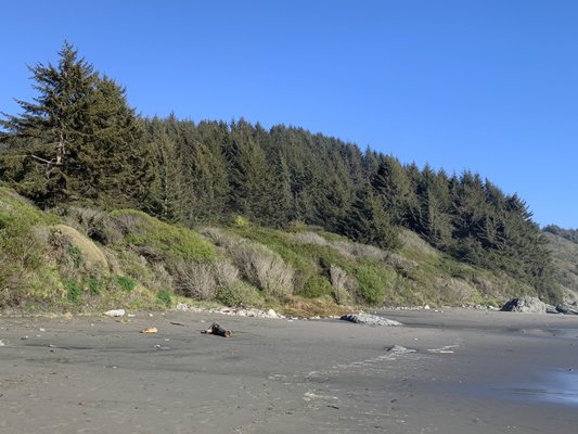 Lone Ranch Beach by null