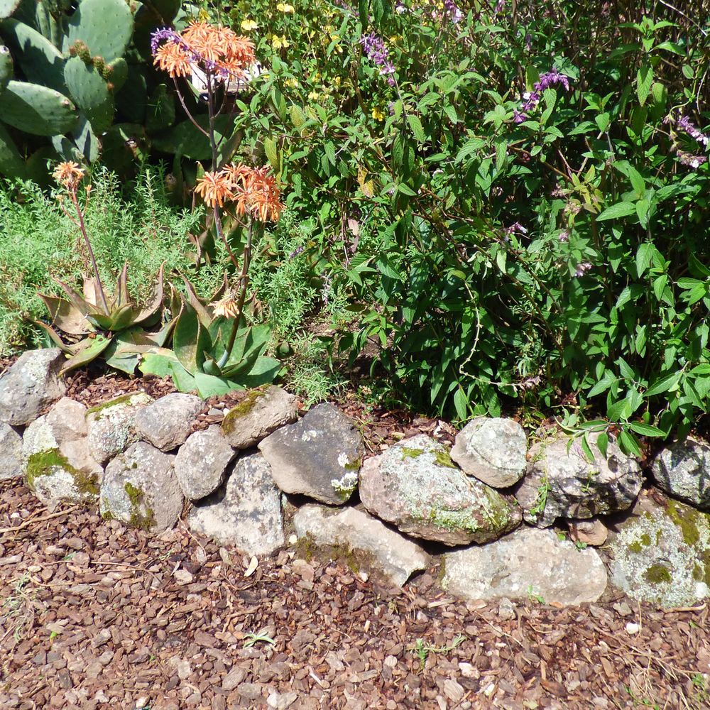 D Garcia's Landscaping - After: Other view of the moss rock retaining wall. - Landscaping Near Me - Richmond, California D Garcia's Landscaping - After: Other view of the moss rock retaining wall. - Landscaping Near Me - Richmond, California
