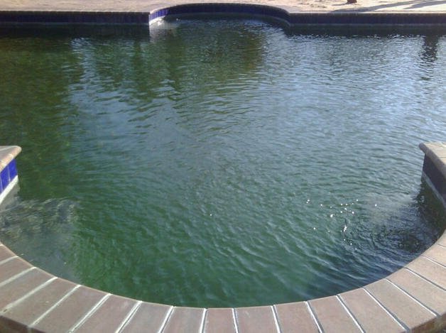 Slide of Long Island Marble Dusting