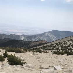 San Gorgonio Peak via Momyer to Vivian Creek Trail - View on Vivian Creek Trail