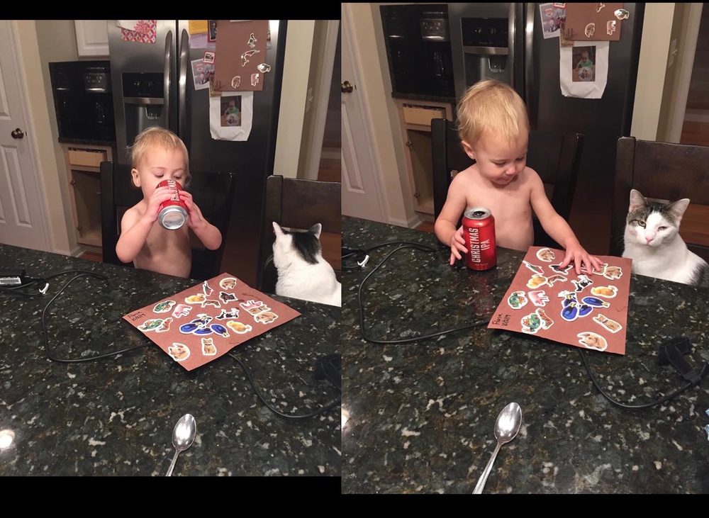 Metropolitan Family Services - social services organization in Wheaton, IL