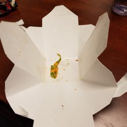 Oh look. The curry comes prepackaged and the wrapper is included in your meal! I wish I had snapped a photo of the hair in my food as well. Oh look. The curry comes prepackaged and the wrapper is included in your meal! I wish I had snapped a photo of the hair in my food as well.
