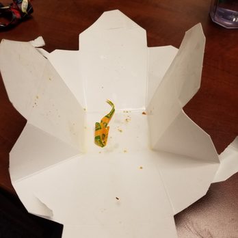 Yummy Box - Oh look. The curry comes prepackaged and the wrapper is included in your meal! I wish I had snapped a photo of the hair in my food as well. - Food Trucks Near Me - Edmonds, Washington Yummy Box - Oh look. The curry comes prepackaged and the wrapper is included in your meal! I wish I had snapped a photo of the hair in my food as well. - Food Trucks Near Me - Edmonds, Washington