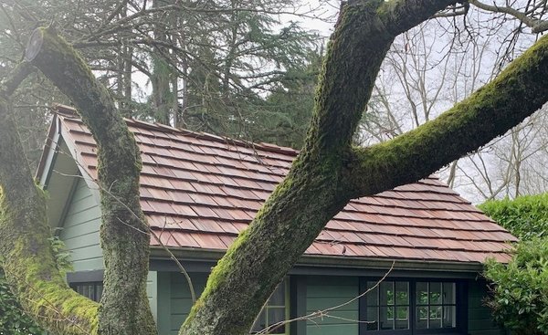 Mountain Goat Roofing - Lynnwood, WA Mountain Goat Roofing - Lynnwood, WA