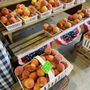 Photo of Hobo Hollar Farms