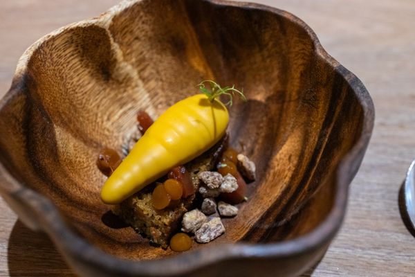 Oyster Oyster by null