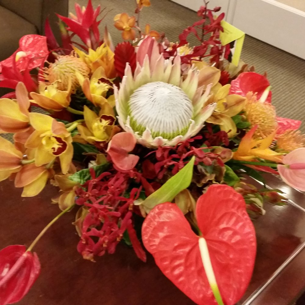 Rainforest Florals - Amazing coffee table piece arrived at the office today. Everyone looks at it and says WOW! It's amazing! - Florists Near Me - Honolulu, Hawaii Rainforest Florals - Amazing coffee table piece arrived at the office today. Everyone looks at it and says WOW! It's amazing! - Florists Near Me - Honolulu, Hawaii