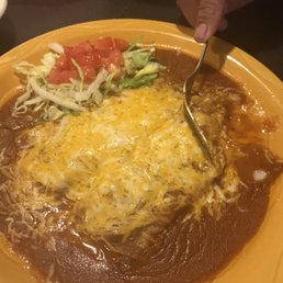 Cheese Enchiladas