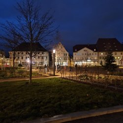 Hirschgarten - Nachtaktive sind unterwegs