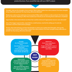 MFP Website Marketing - SWOT Analysis