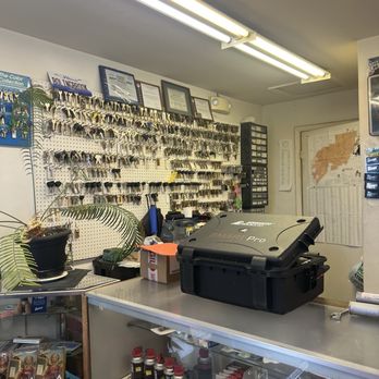 Larry's Lock Service - Keys & Locksmiths Near Me - Bolingbrook, Illinois