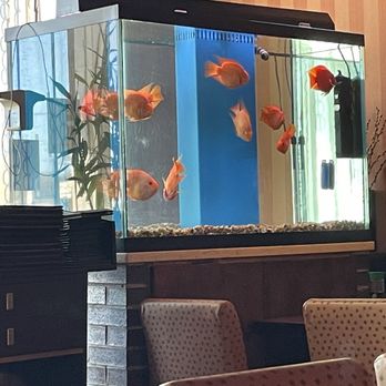 Sapporo Sushi House - Sushi Bars Near Me - Staten Island, New York