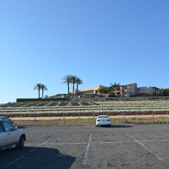 The Flower Fields - April 15, 2012 - View of the ranunculus flowers American Flag from the parking lot in the afternoon. - Venues & Event Spaces Near Me - Carlsbad, California The Flower Fields - April 15, 2012 - View of the ranunculus flowers American Flag from the parking lot in the afternoon. - Venues & Event Spaces Near Me - Carlsbad, California