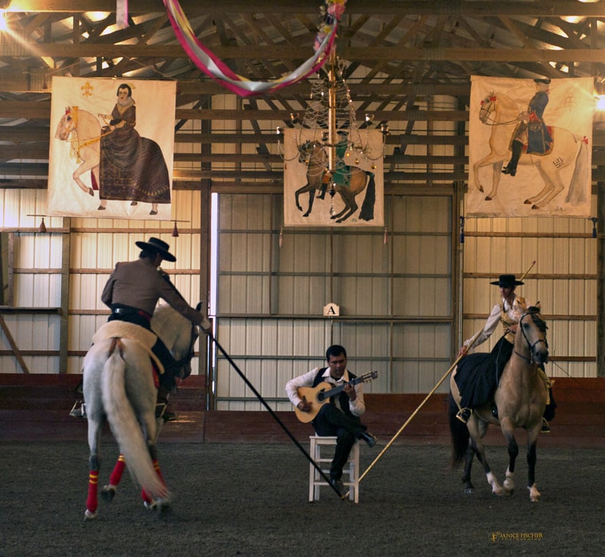 Jill McCrae Farm - equestrian in Grayslake, IL