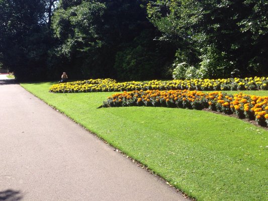 Duthie Park by null