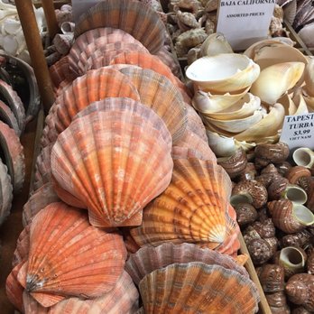The Shell Shop - Arts & Crafts Near Me - Morro Bay, California
