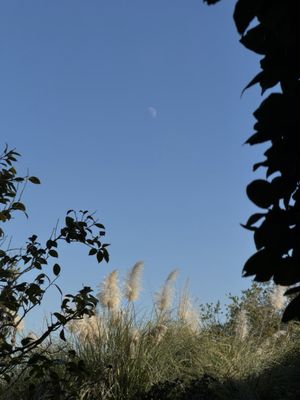 Self-Realization Fellowship International Headquarters by null