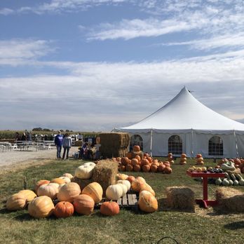 Kelsay Farms - Lots of pumpkins for sale - Attraction Farms Near Me - Whiteland, Indiana Kelsay Farms - Lots of pumpkins for sale - Attraction Farms Near Me - Whiteland, Indiana