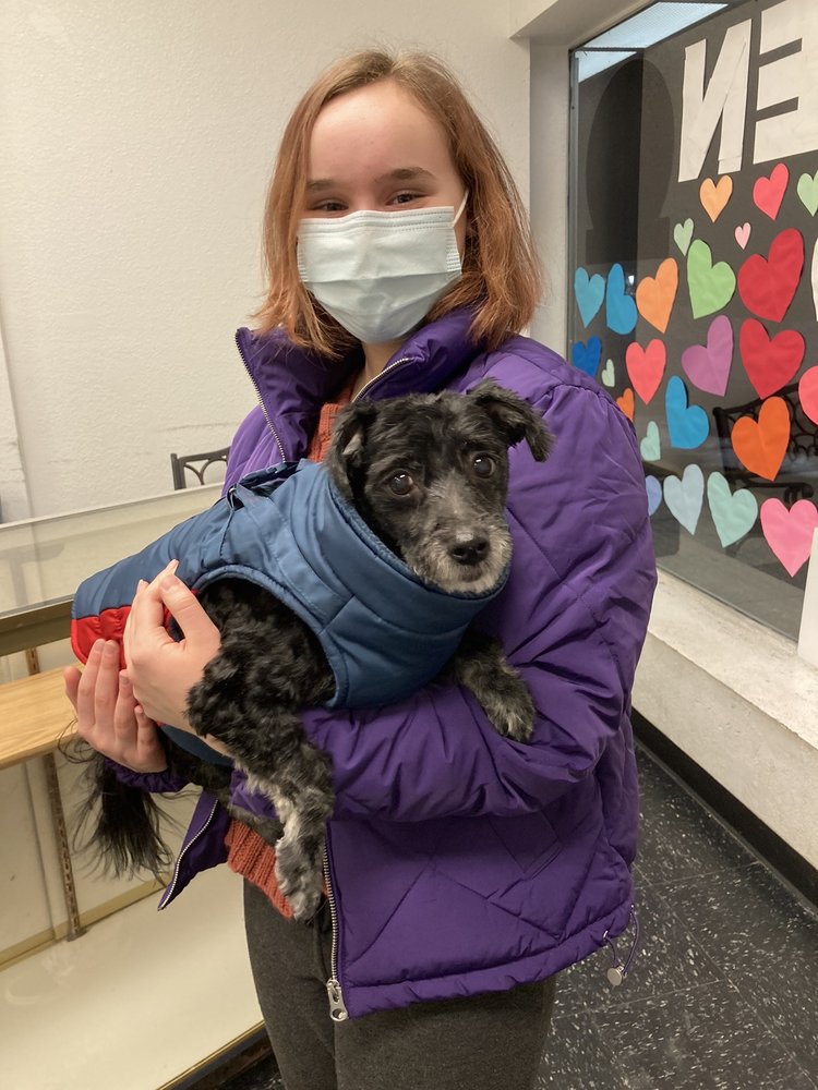 HOLLYWOOD PAWS GROOMING Updated August 2024 16 Reviews 1301 Mississippi St NE, Minneapolis