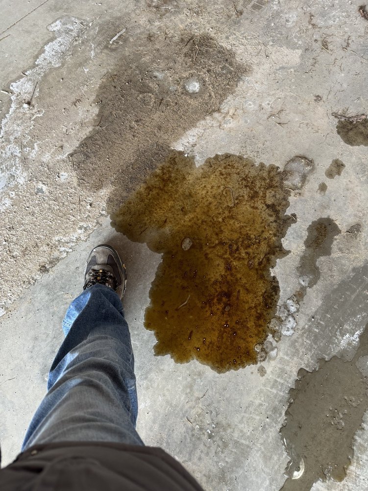 MUFFLER MAN Updated October 2024 103 S Main St, Frankenmuth