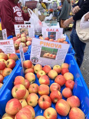 32nd Street Farmers Market by null