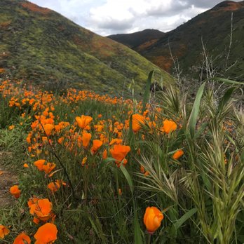 Walker Canyon Ecological Reserve - Wildlife Hunting Ranges Near Me