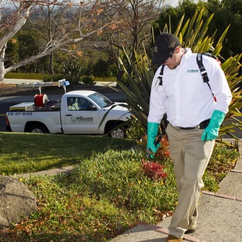 EcoGuard Pest Management - EcoGuard Pest Management applications supervisor hard at work. - Pest Control Near Me - Folsom, California EcoGuard Pest Management - EcoGuard Pest Management applications supervisor hard at work. - Pest Control Near Me - Folsom, California