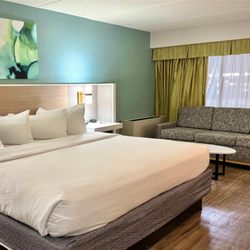 Wyndham Garden Ann Arbor - Guest room