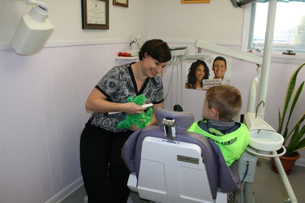 JEFFREY W SCHULTZ, DDS Updated July 2024 223 W Main St, Elkland