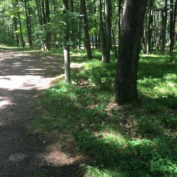 Brunet Island State Park - Another camp site - Parks Near Me - Cornell, Wisconsin