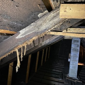 Eco Living Services - Attic Mold. Main causes for moldy attics. 1. Not enough ventilation. 2. Old roof with water leaks. - Insulation Installation Near Me - Westchester, Illinois Eco Living Services - Attic Mold. Main causes for moldy attics. 1. Not enough ventilation. 2. Old roof with water leaks. - Insulation Installation Near Me - Westchester, Illinois