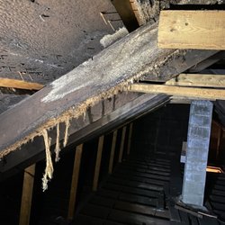 Eco Living Services - Attic Mold.  Main causes for moldy attics. 1. Not enough ventilation. 2. Old roof with water leaks.