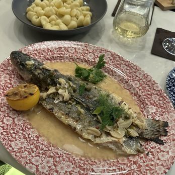 Italo - Branzino and ordered a kids pasta to add to the sauce - Wine Bars Near Me - Charlotte, North Carolina Italo - Branzino and ordered a kids pasta to add to the sauce - Wine Bars Near Me - Charlotte, North Carolina
