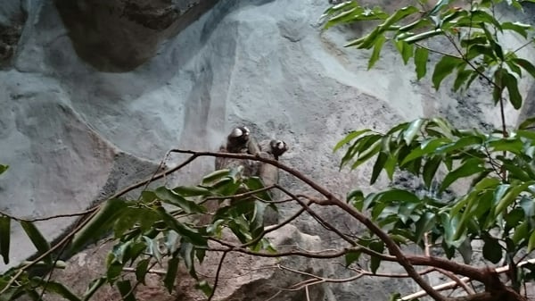 Underwater World Langkawi by null